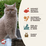 Fromm Dry Cat Food - 4-Star Salmon ala Veg - 4lb Thumbnail