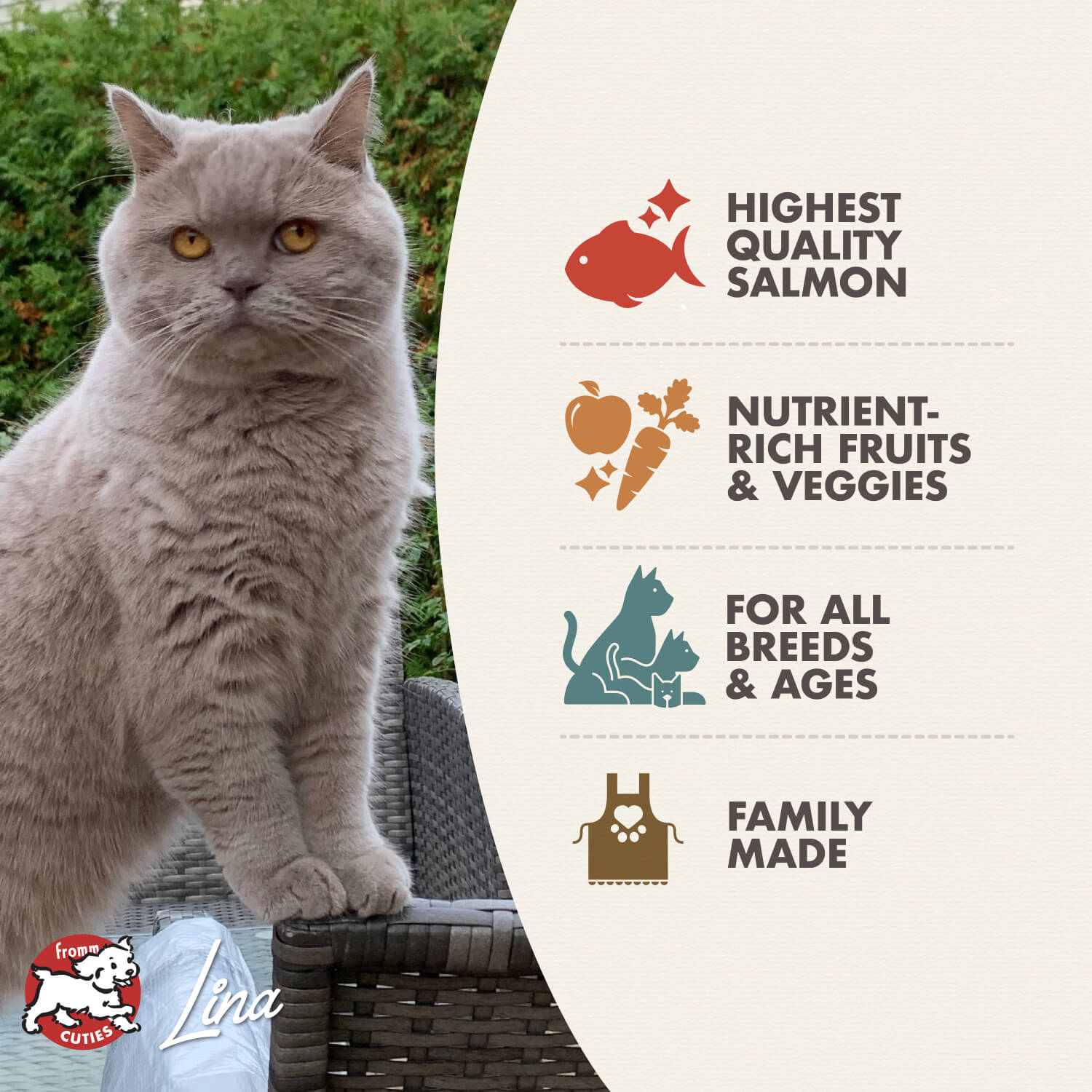 Fromm Dry Cat Food - 4-Star Salmon ala Veg - 4lb