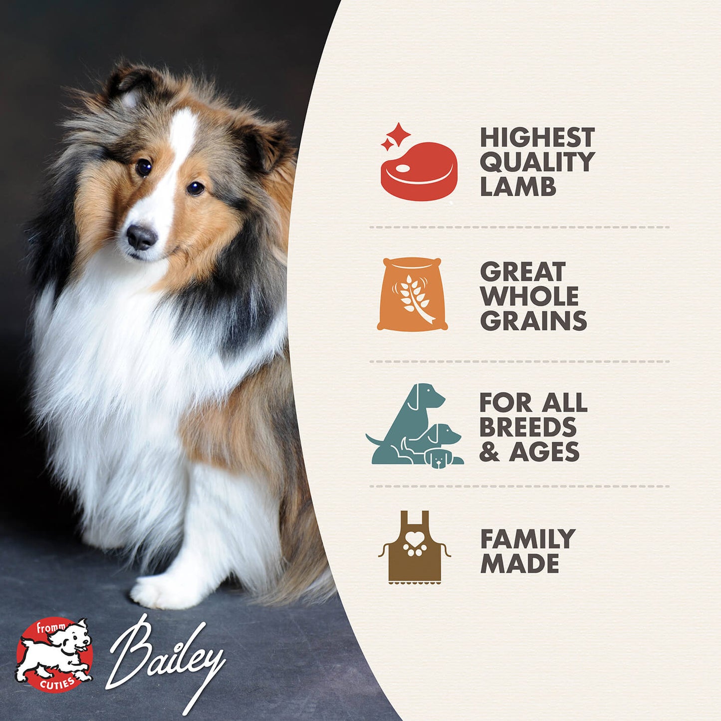 Fromm Dry Dog Food - 4 Star Zealambder