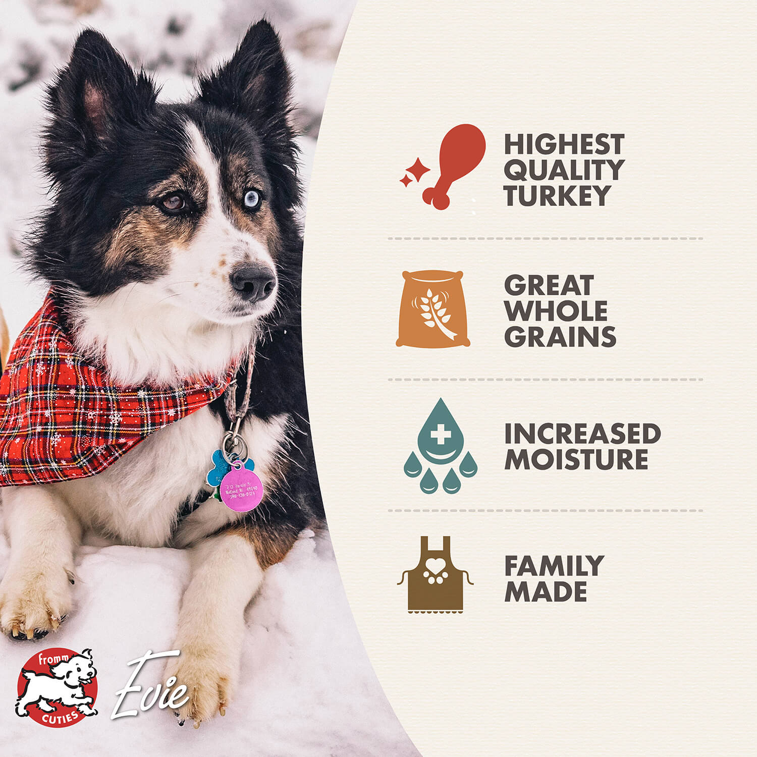 Fromm Wet Dog Food - Turkey Pate - 12oz