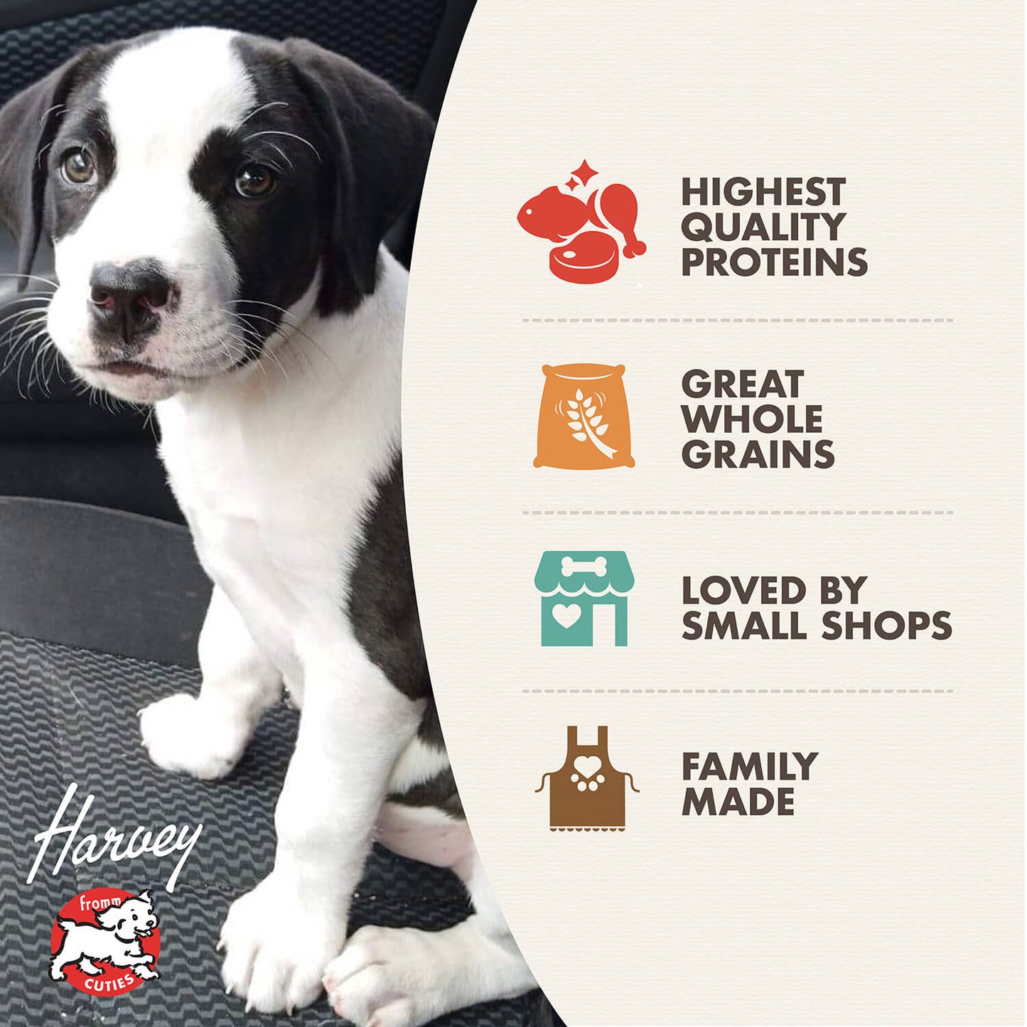 Fromm Dry Dog Food - Gold Puppy