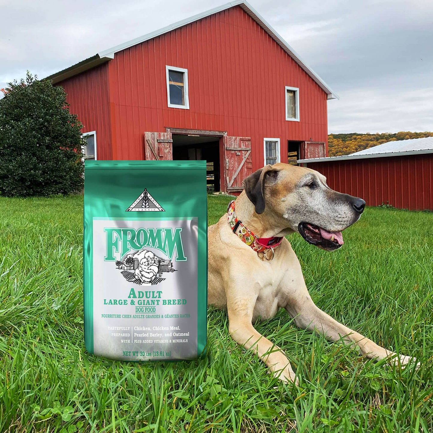 Fromm Dry Dog Food – Large / Giant Breed – 30lb