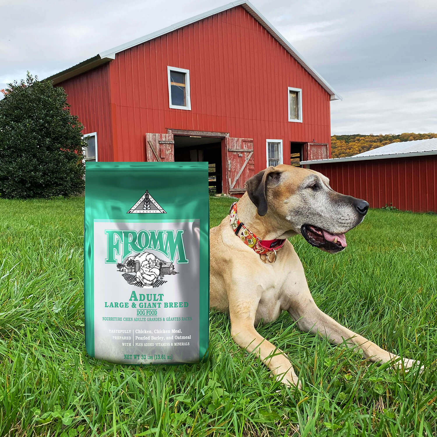 Fromm Dry Dog Food – Large / Giant Breed – 30lb