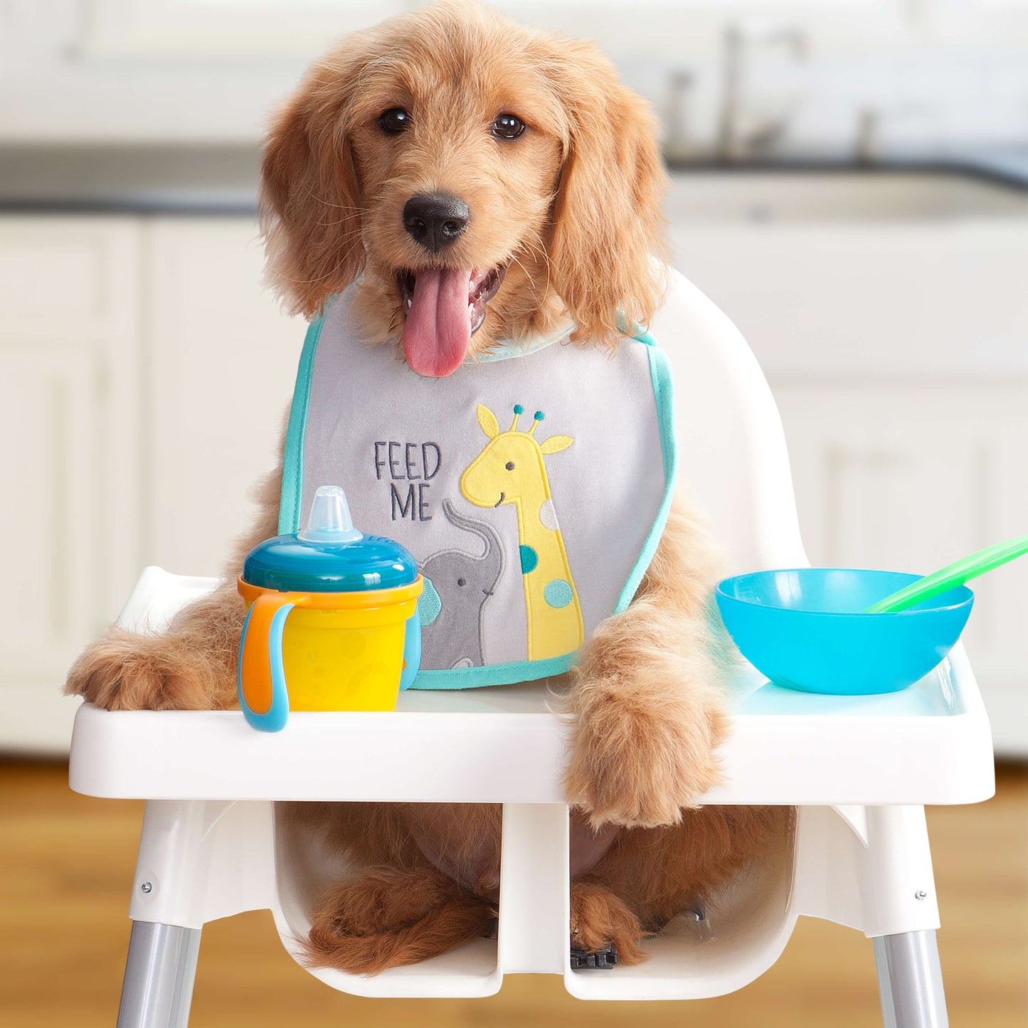 Fromm Dry Dog Food - Gold Puppy