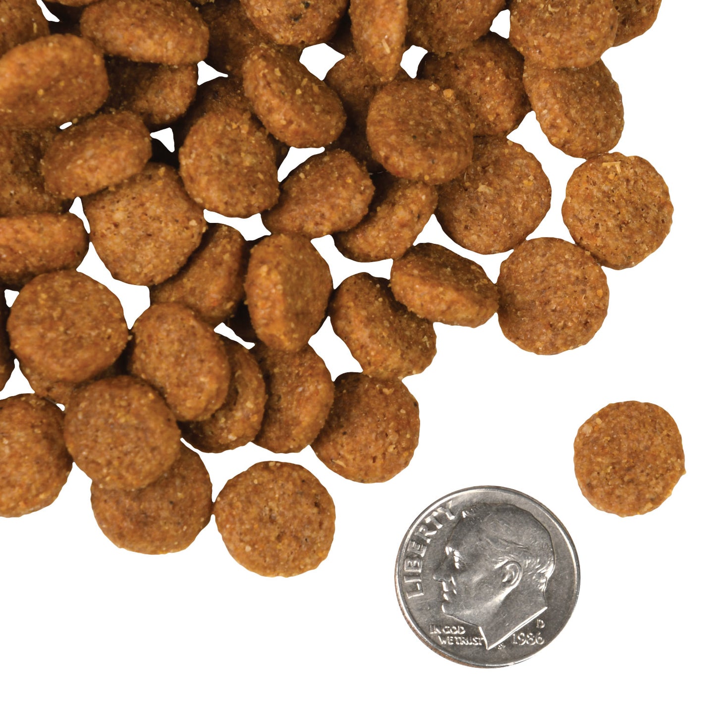 Fromm Dry Dog Food - 4 Star Pork & Apple