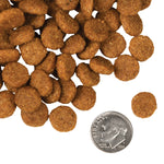 Fromm Dry Dog Food - 4 Star Pork & Apple Thumbnail