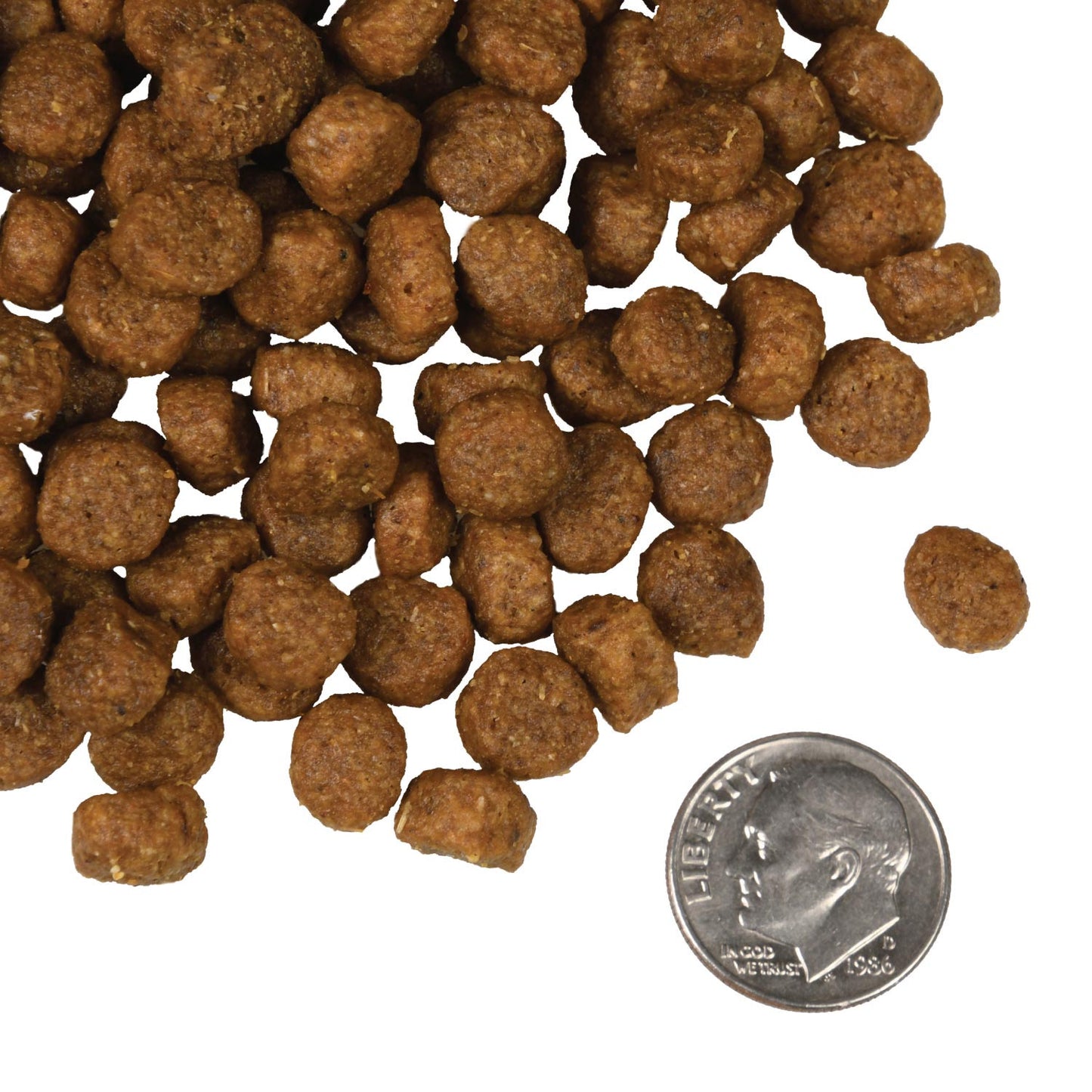 Fromm Dry Dog Food - 4 Star Salmon & Veg