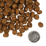 Fromm Dry Dog Food - 4 Star Salmon & Veg Thumbnail