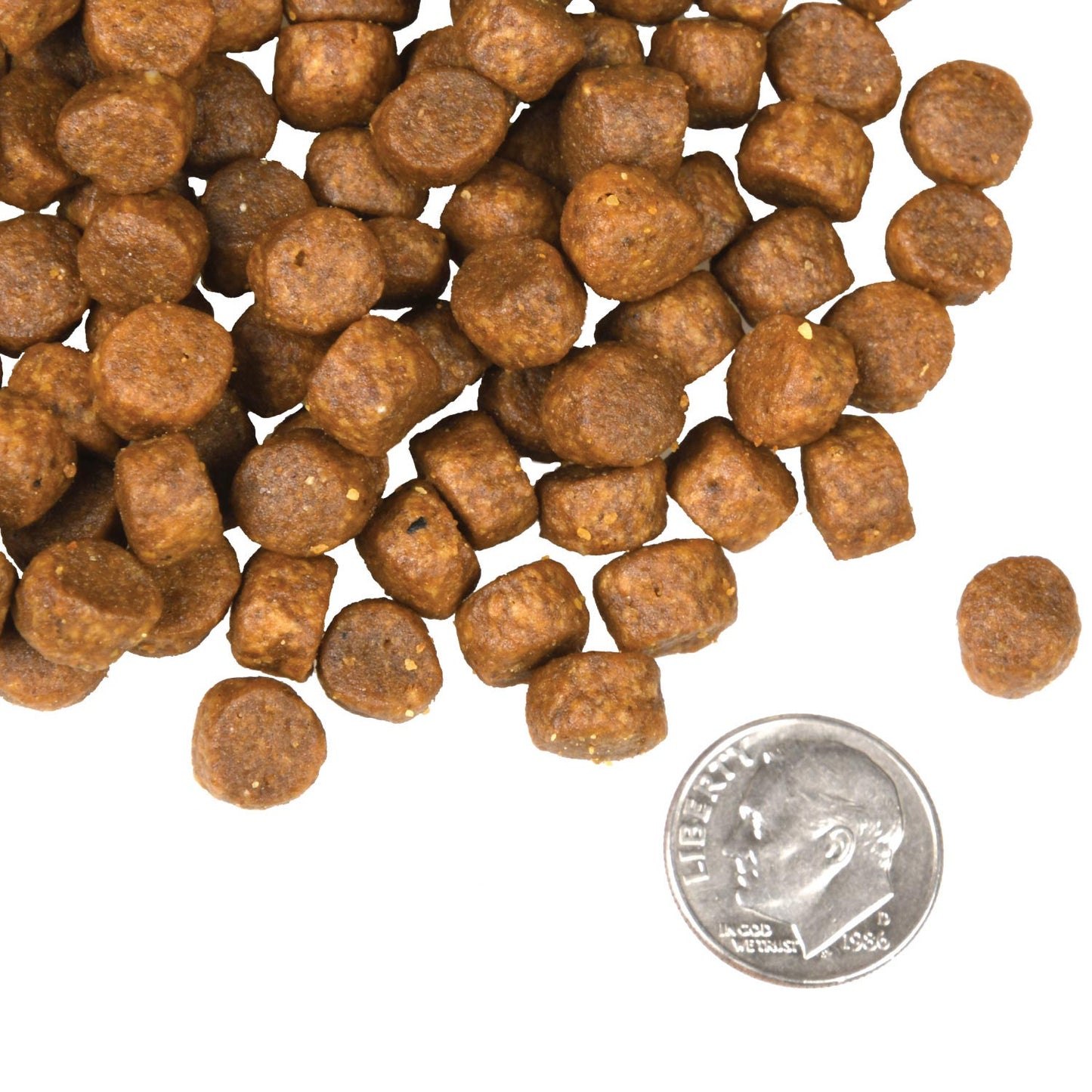Fromm Dry Dog Food - 4 Star Surf & Turf