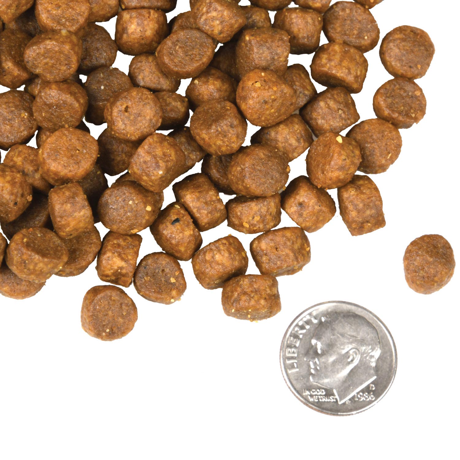 Fromm Dry Dog Food - 4 Star Surf & Turf