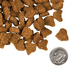Fromm Dry Dog Food - 4 Star Zealambder Thumbnail