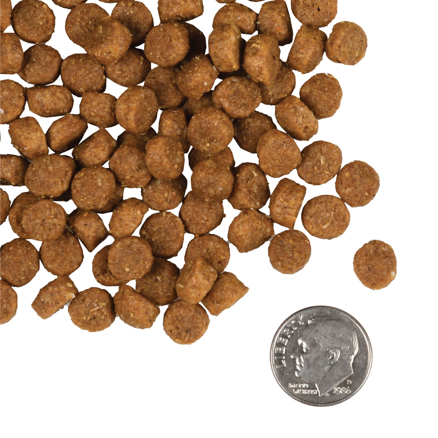 Fromm Dry Dog Food - Gold Puppy