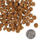 Fromm Dry Dog Food - Gold Puppy Thumbnail