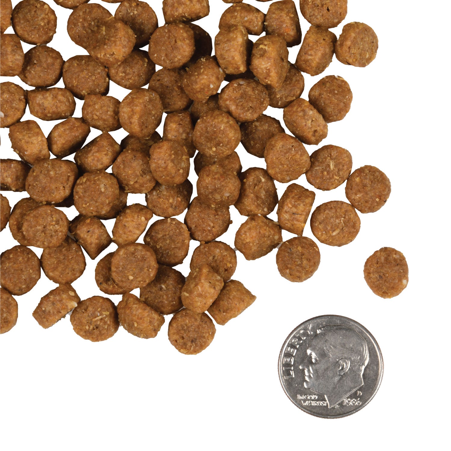 Fromm Dry Dog Food - Gold Puppy