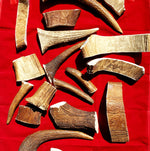 Moose Antler Chews Thumbnail