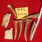 Moose Antler Chews Thumbnail