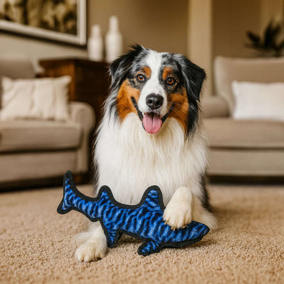 Stuffed Dog Toy - Shack the Shark