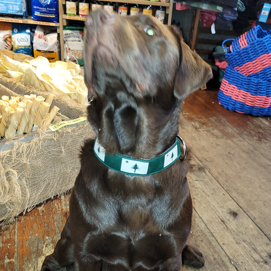 1” Ribbon Dog Collar – 1820/1901 Maine Flag, Green