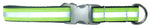 Lime Green Reflective Dog Collar Thumbnail