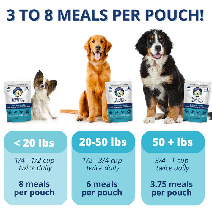 Under the Weather Bland Dog Food - Chicken & Rice - 6oz
