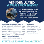 Under the Weather Bland Dog Food - Chicken & Pumpkin - 6oz Thumbnail