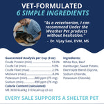 Under the Weather Bland Dog Food - Hamburger & Swt. Potato - 6oz Thumbnail