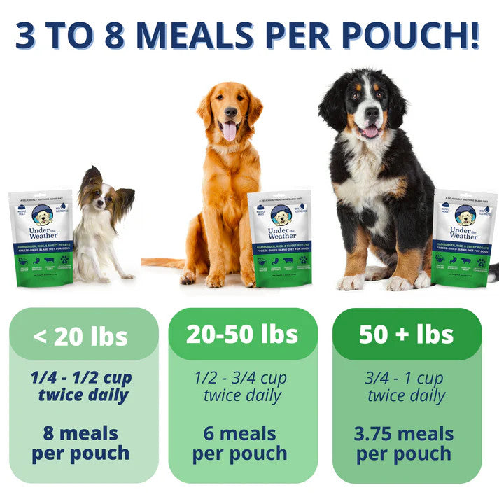 Under the Weather Bland Dog Food - Hamburger & Swt. Potato - 6oz