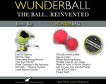 Dog Fetch Toy - Wunderball Thumbnail