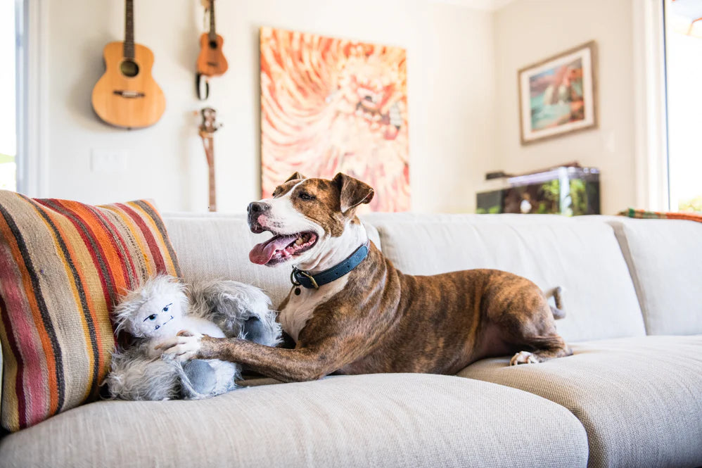 Stuffed Dog Toy - Yeti