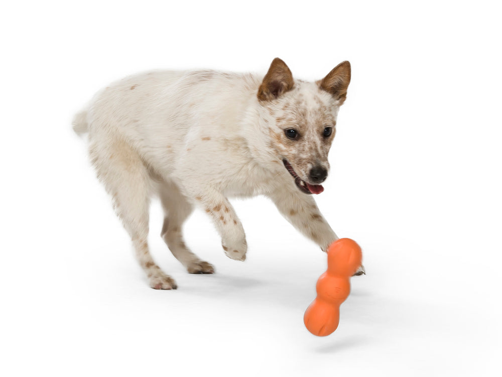 Dog Chew Toy - Rumpus
