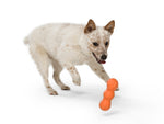 Dog Chew Toy - Rumpus Thumbnail