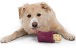 Dog Treat Toy - Earth Animal Funnl Thumbnail