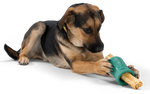 Dog Treat Toy - Earth Animal Funnl Thumbnail