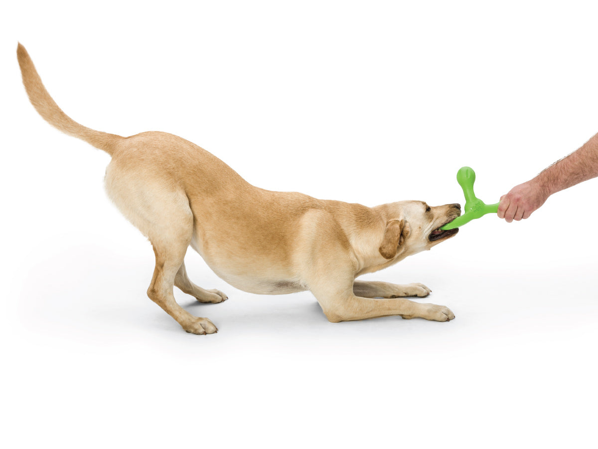 Dog Tug Toy - Skamp
