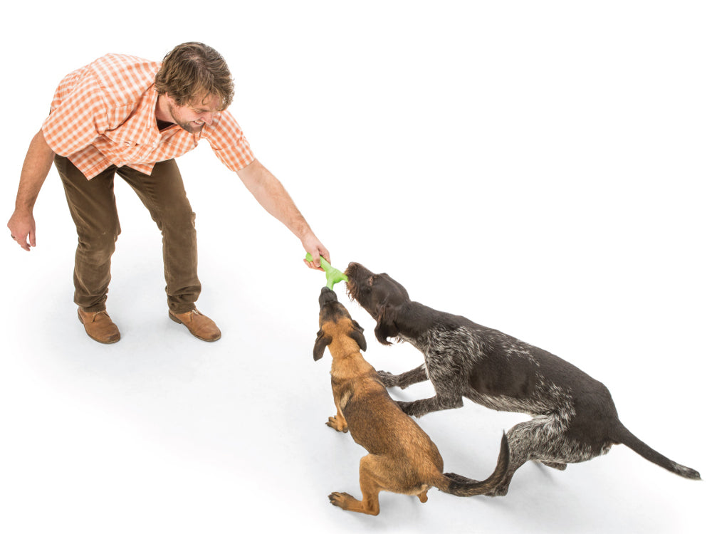 Dog Tug Toy - Skamp