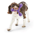 Dog Tug Toy - Skamp Thumbnail
