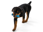 Dog Chew Toy - Drifty Thumbnail