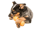 Dog Treat Toy - Qwizl Thumbnail