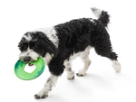 Dog Fetch Toy - Sailz Flying Disc Thumbnail