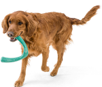 Dog Tug Toy - Snorkl Thumbnail