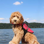 Dog Life Jacket - Red Thumbnail